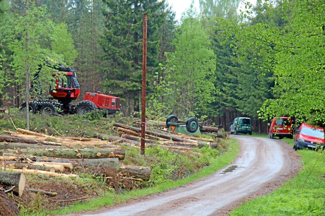 Lastbil på skogsväg är inte bara det lönsammaste sättet att nå avverkningsplatsen. Det kan också vara det miljövänligaste alternativet.