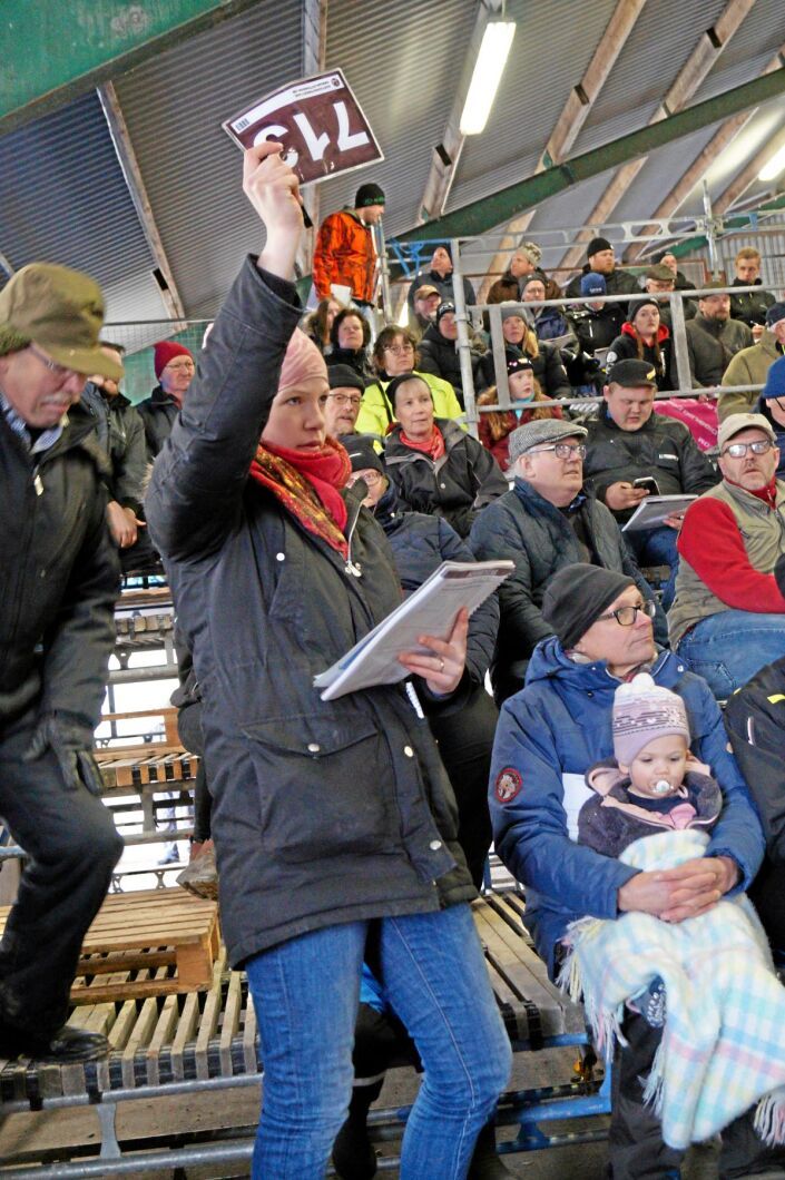Karin Olsson, Ingelstad, fastnade för en simmentaltjur på auktionen.