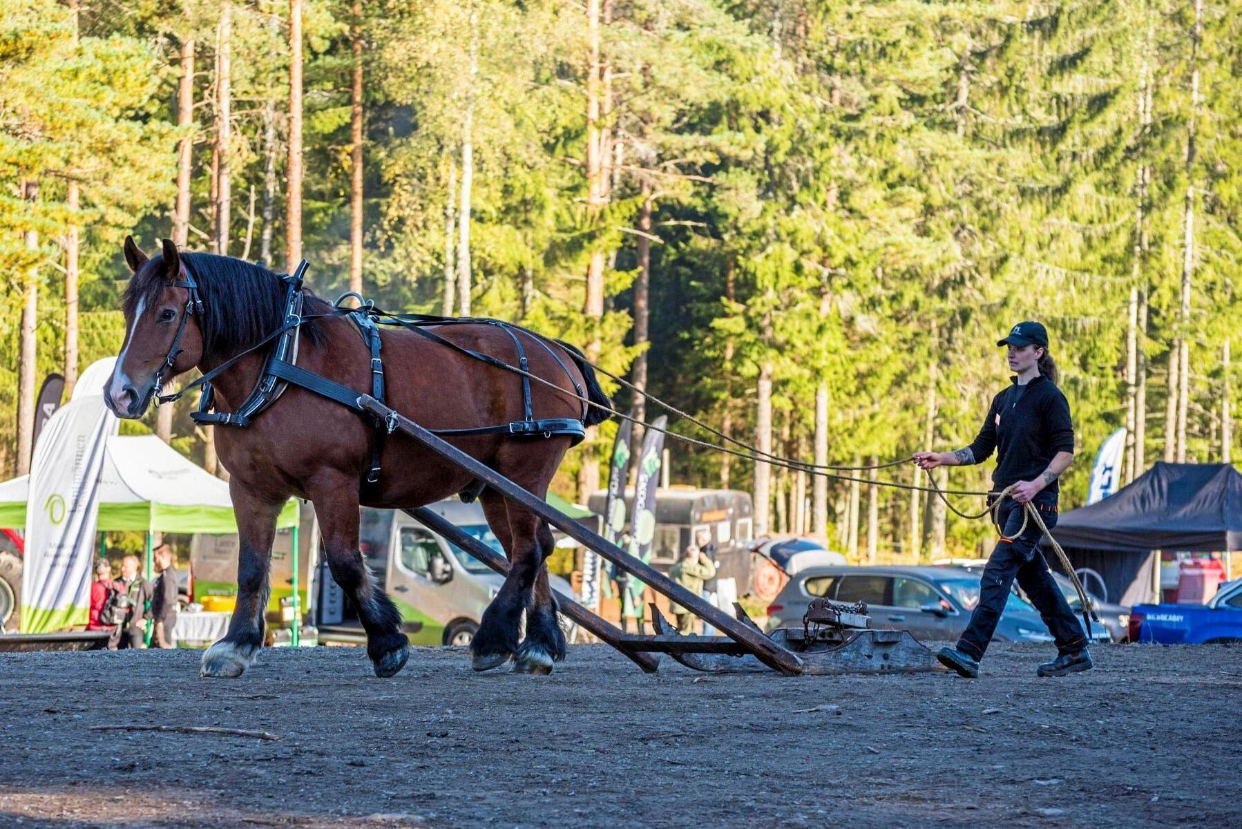 Lisa Johansson körde timmerdoning med Turbin.