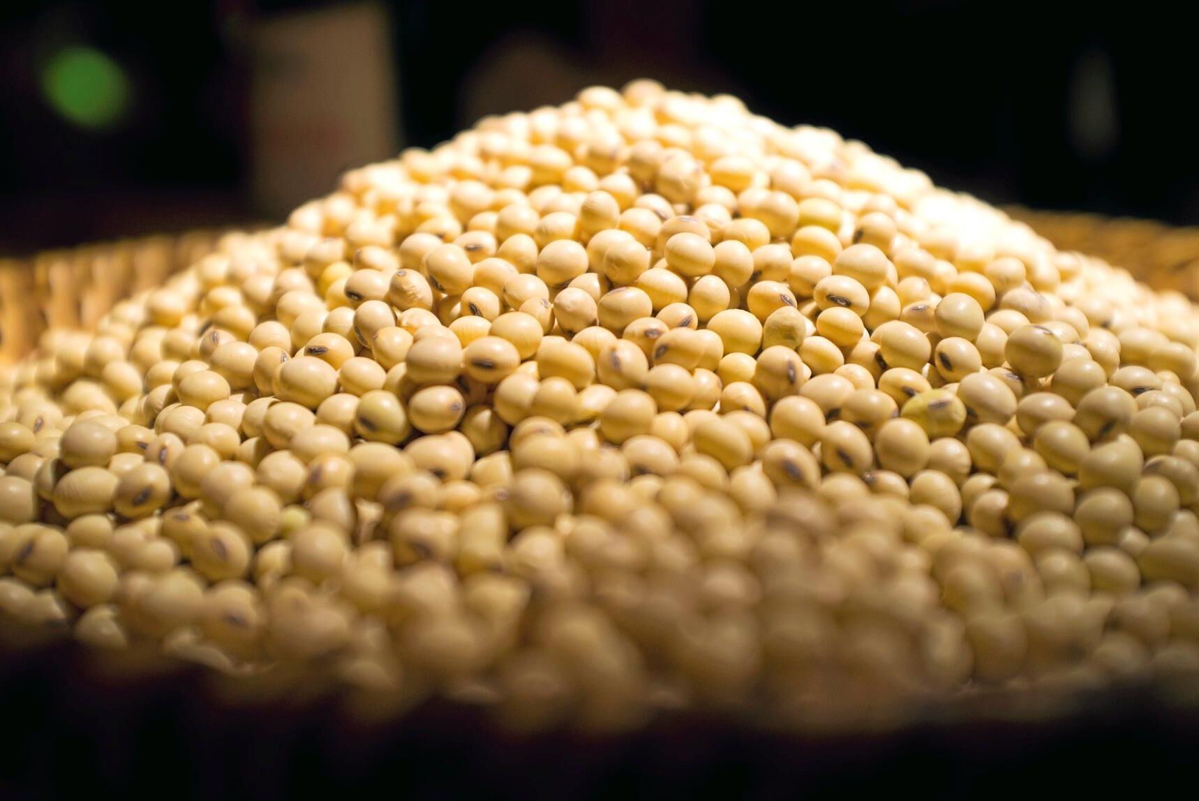 USAs sojaodlare har fått svårare att få avsättning för sina bönor efter president Donald Trumps hårda handelslinje som gjort att Kina höjt sina tullar på grödan.