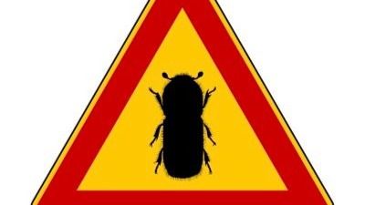 Varning: Mer värme – fler borrar