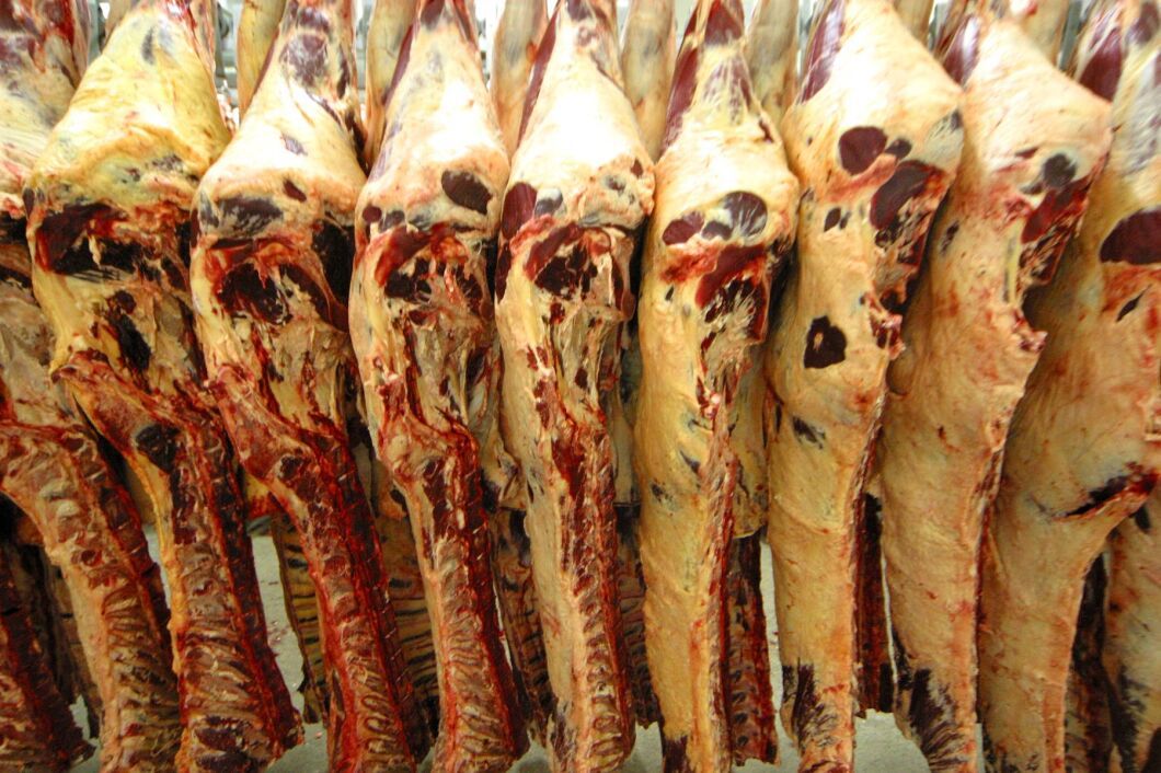 Den svenska slakten visar minussiffror både för sista kvartalet och för helåret 2016.