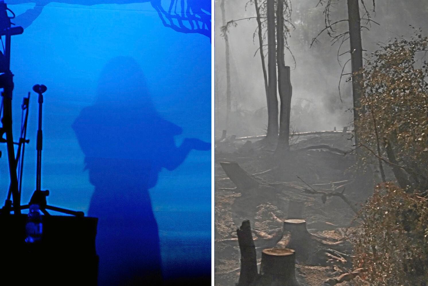 Utöver Linda Bengtzing har även Andreas Lundstedt från Alcazar, Markoolio, Tobbe Trollkarl, Tommy Nilsson, Dinah Nah och Anna Sahlin visat intresse för konserten.