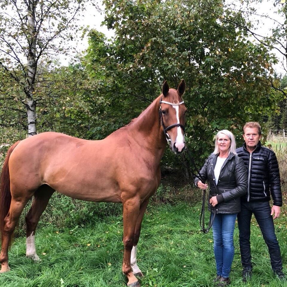 Anette och Kristian Andréasson Stjernström med Princess Fiona som tävlas av dotter Unni. Princess Fiona har tävlat framgångsrikt på unghästchampionaten som 4- till 6 åring och är efter Baltimore. ”Hon visar samma kvalitéer som Vincent”, säger Anette.