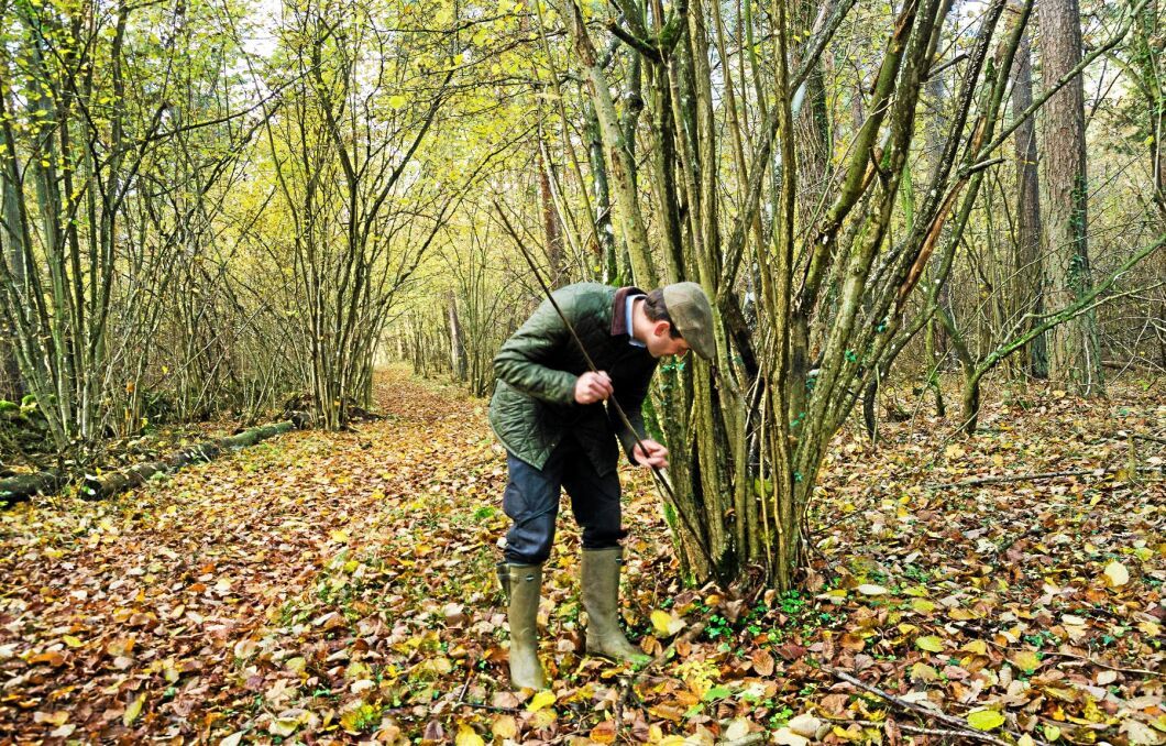Gustav af Whålberg arbetar som jägmästare i Östergötland och Sörmland men kommer med jämna mellanrum till Öland för att arbeta på skogsgården Skedemosse, där han är uppvuxen.