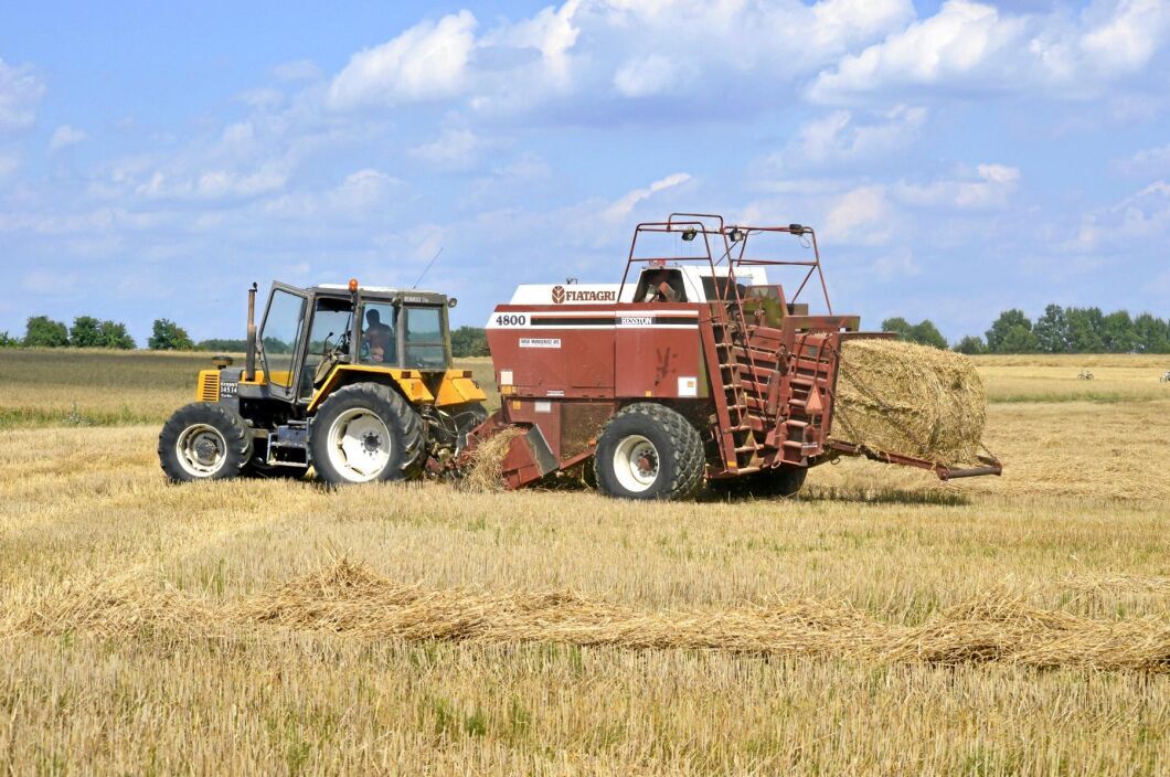 Bönder i 14 av 16 tyska delstater kvalificerar sig för stödpengar i torkans spår. Arkivbild.