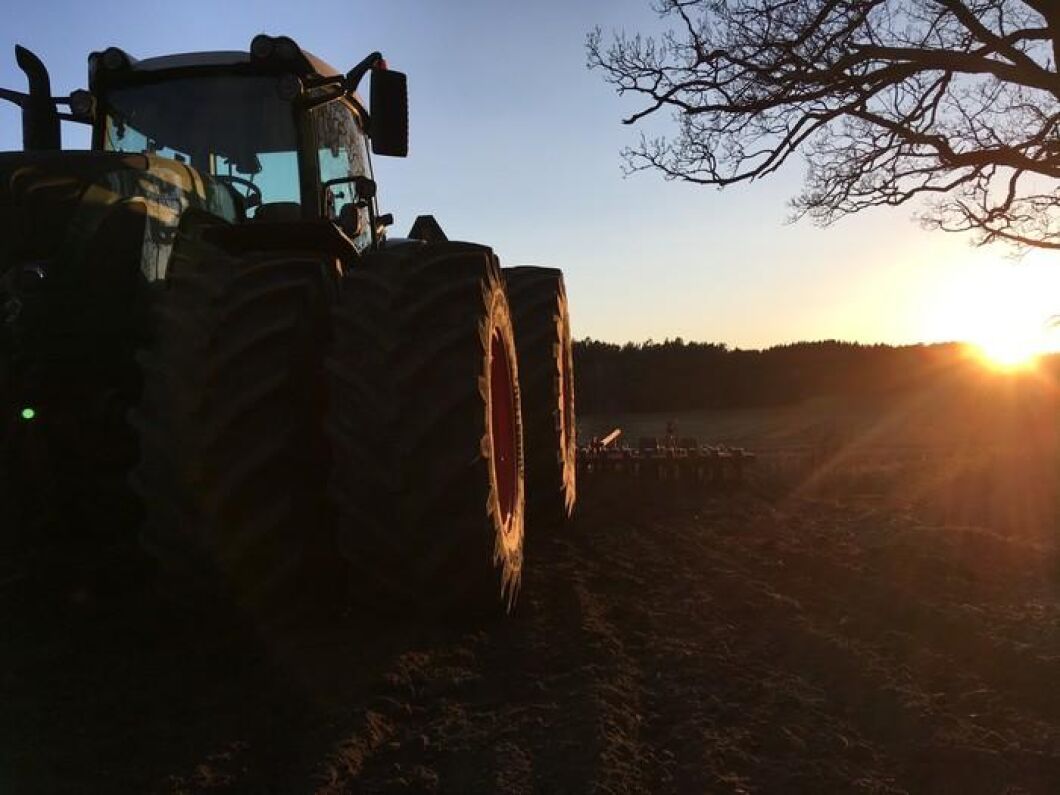 Solens strålar kan åstadkomma magi.
