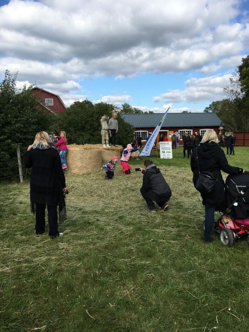 Hoppa i hö var kul.