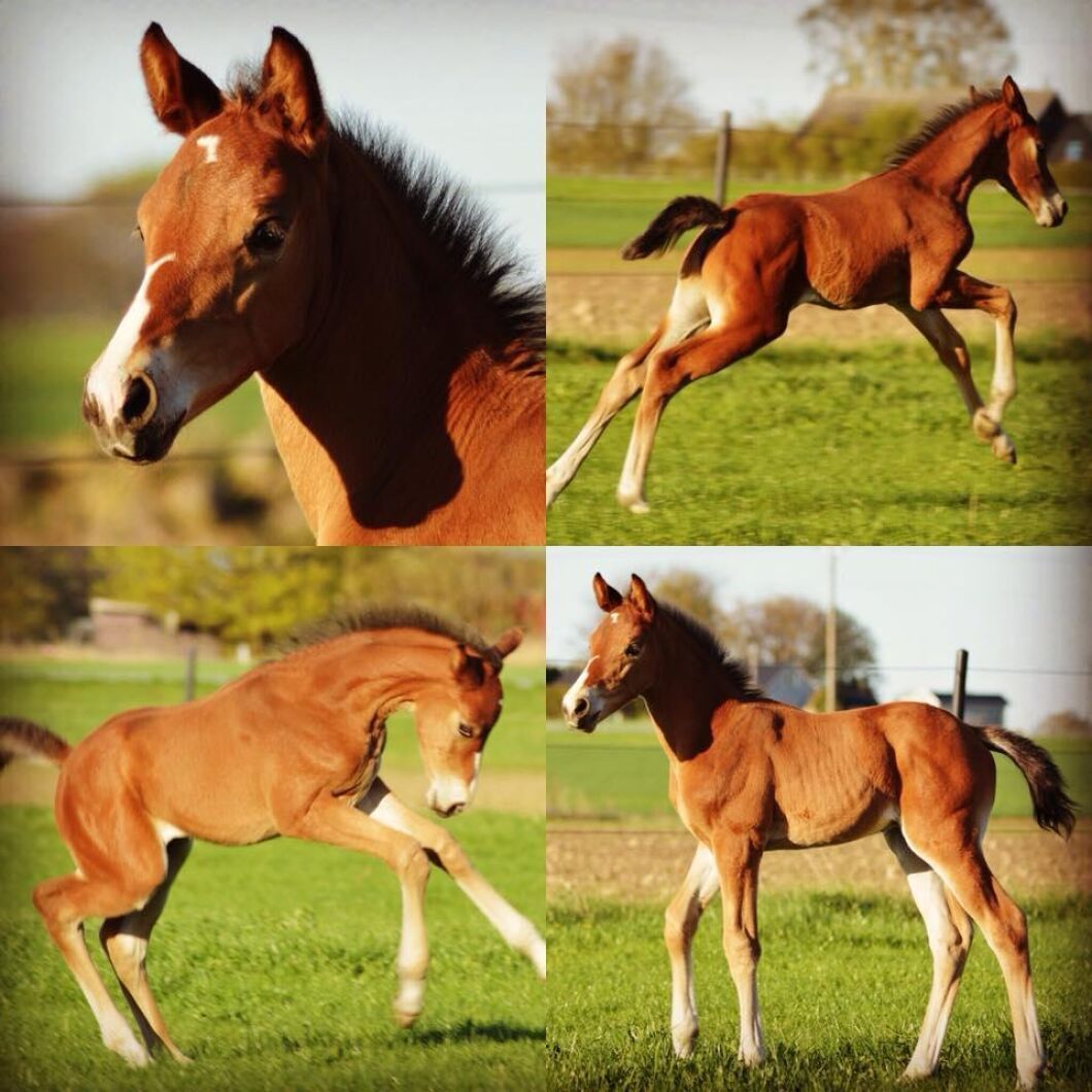 Årets snygging efter Sibelius tycker Ulrika Hoberg Kinell som tog bilden.