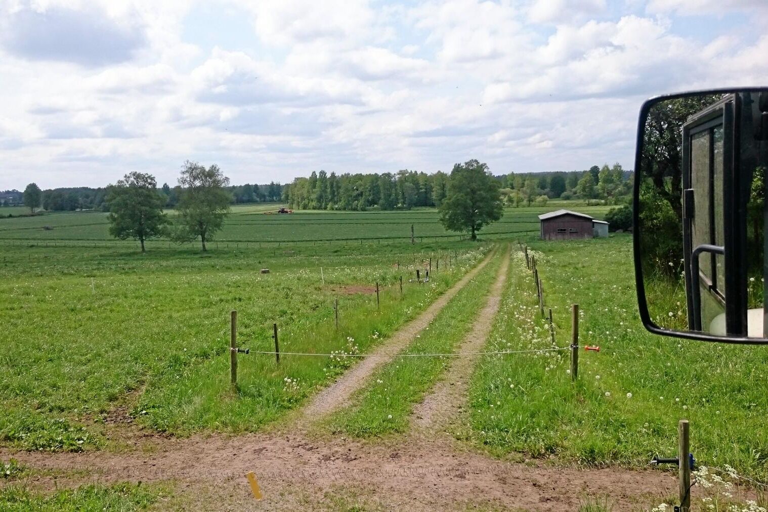 Så här ser det ut på gården ett vanligt år...