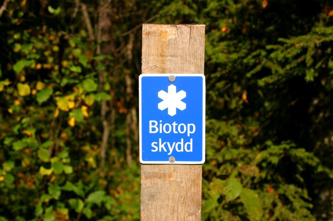 Regeringen ger Skogsstyrelsen 50 miljoner för att sköta om skyddade skogsområden.