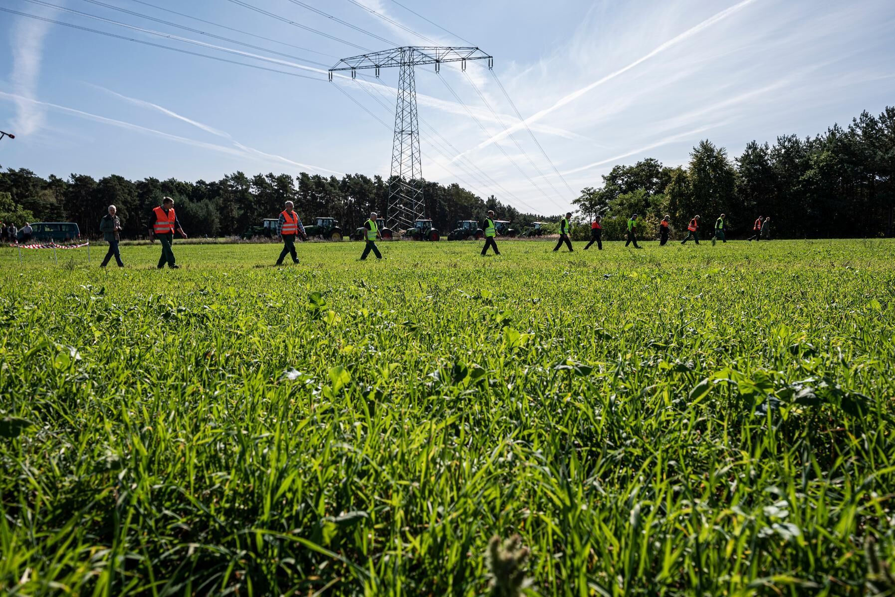 Trakterna kring Schenkendöbern, söder om Neuzelle, söks igenom efter döda vildsvin.