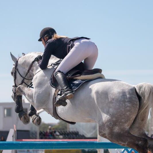Elitsatsningar mot ridsport, som inte bara fostrar ryttare utan också tränare och utbildare inom hästsport, hotas nu efter att Skolinspektionen pekat på att de bryter mot skollagen.