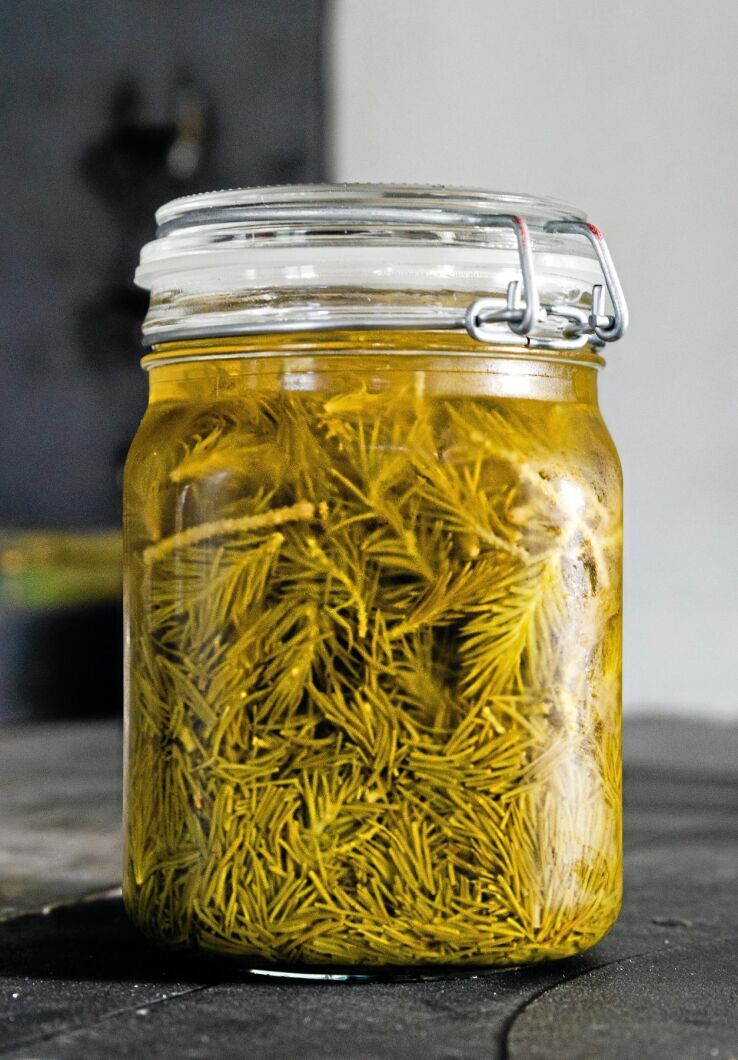 Granskott från skogen kan användas i mat på flera olika sätt. Här är de inlagda.