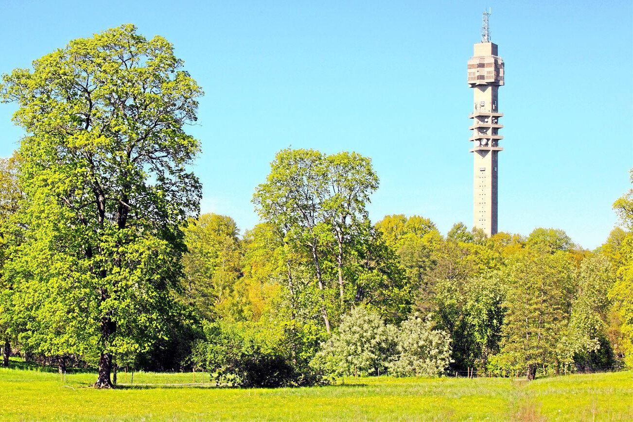 Ängarna vid Kaknästornet i Stockholm är en av många grönytor som Stockholms stad erbjuder till bönder.
