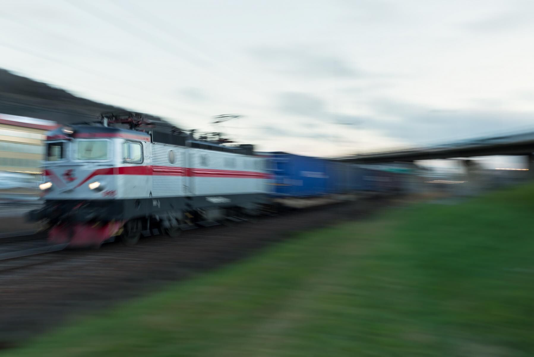 Sju kor dödades i går när de blev påkörda av ett godståg.