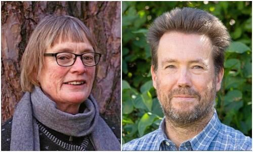 Tungviktare i årets kamp om fin rådgivartitel