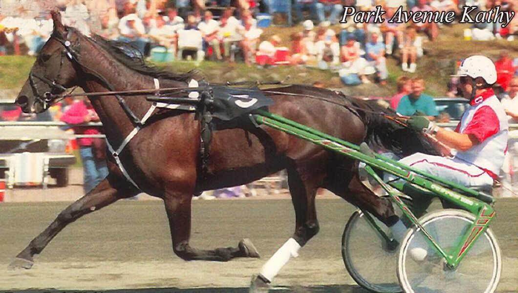 Storloppsvinnaren Park Avenue Kathy var chanslös när branden fick ett explosionsartat förlopp på hästbussen och gick inte att rädda.