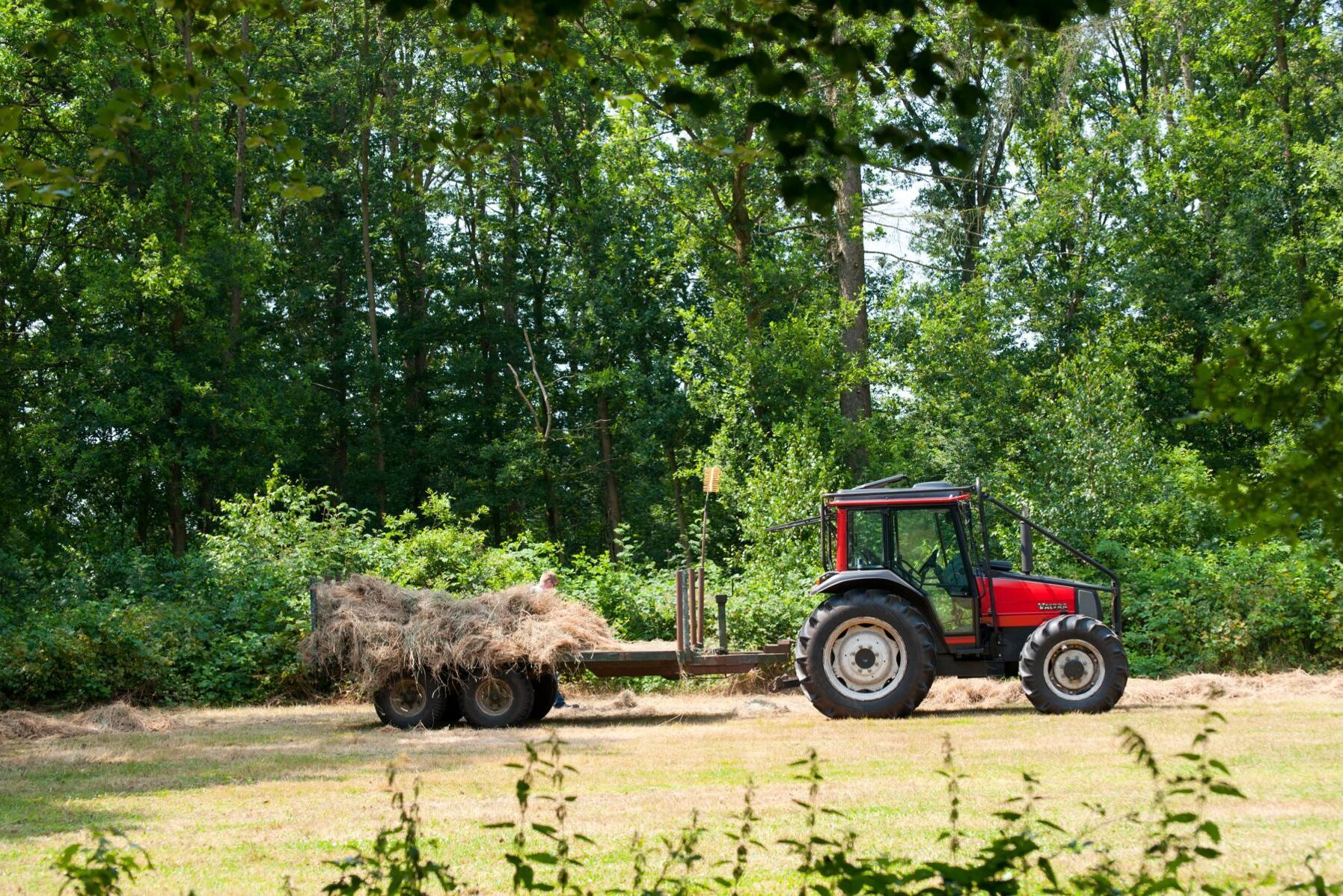 Priserna på drivmedel sänktes flera gånger under veckan. Arkivbild.