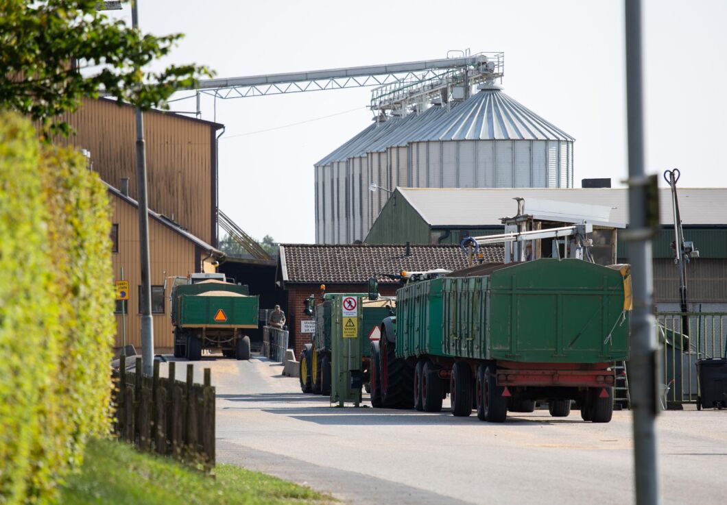 Även på Lantmännens mottagning i närliggande Alstad var det full fart under måndagen.