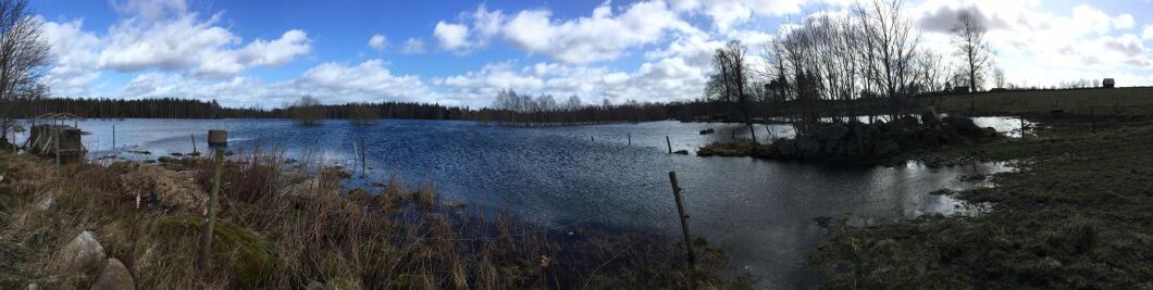 Panoramabild på Malin Holmquists marker.