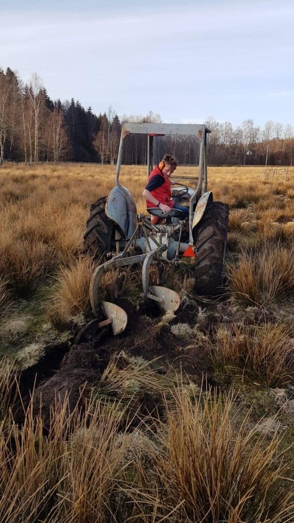 Lite David mot Goliat-känsla i denna härliga bild, som också fick flest röster av er läsare.