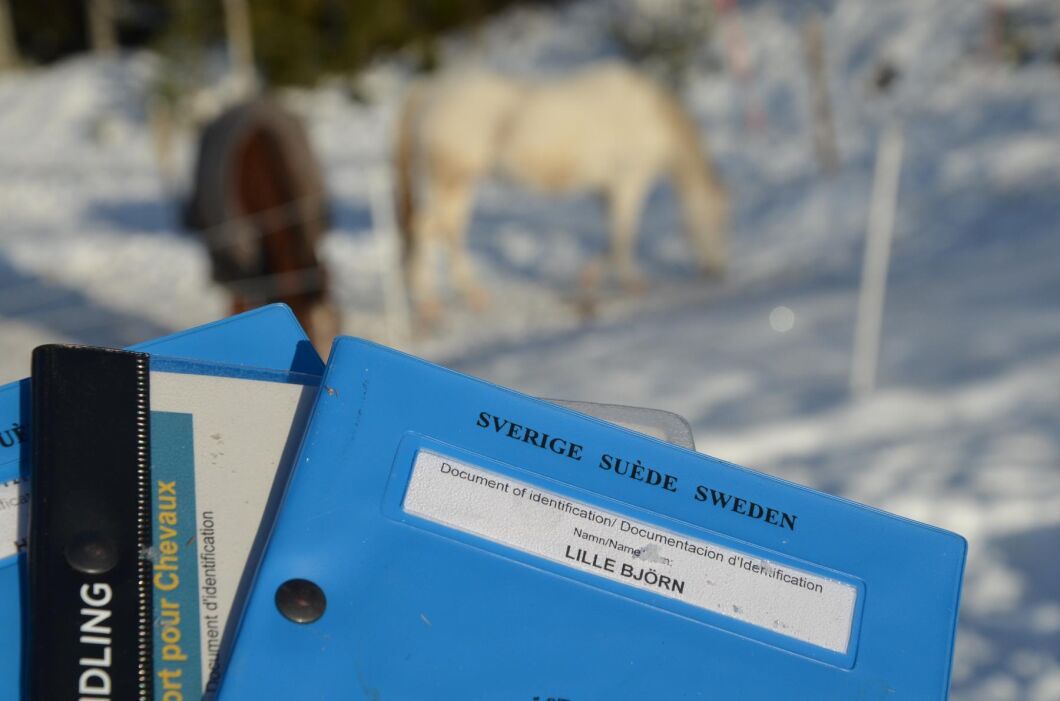 De stora hästavelsorganisationerna ifrågasätter om det verkligen ska vara nödvändigt att göra ny utformning av hästpassen.