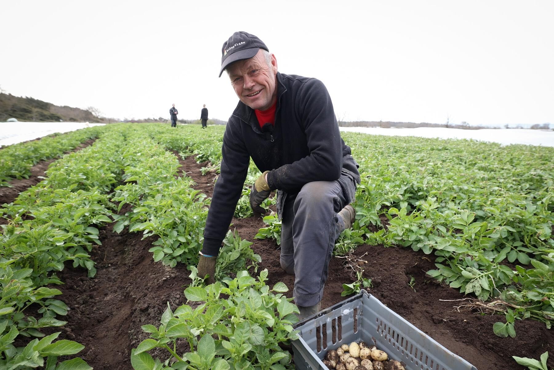 Under en timme fick Anders Ebbesson stå på knä i raderna, men sedan kopplades upptagaren.
