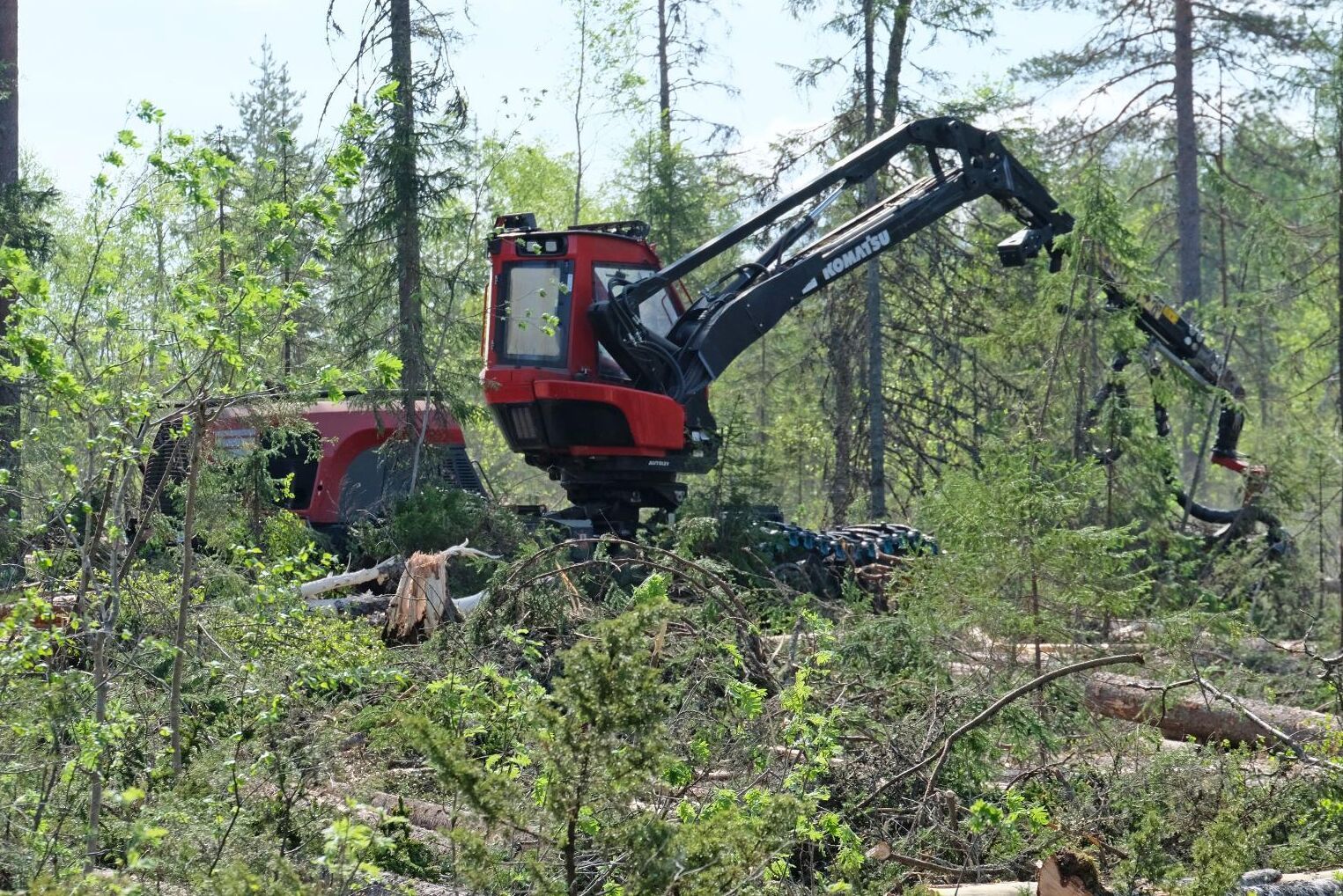 Kammarrätten ger Skogsstyrelsen fortsatt rätt att publicera avverkningsanmälningar.