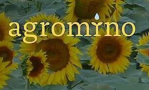 Försämrat resultat för Agromino