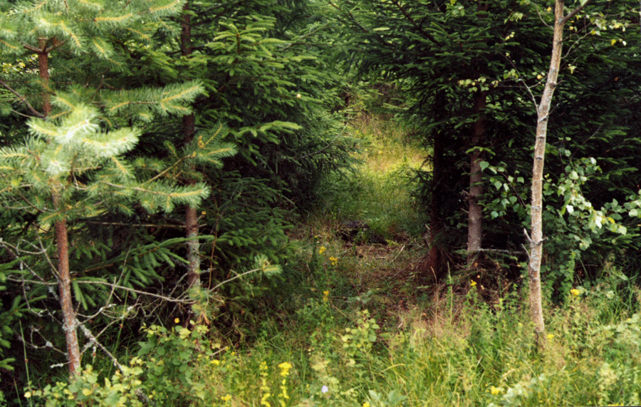 Bättre koll på fornlämningar