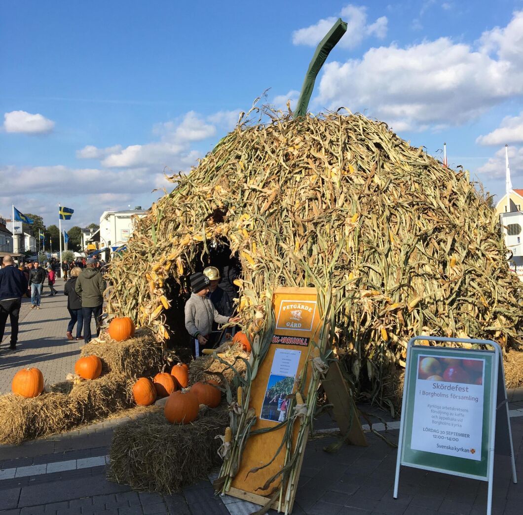Jättepumpan på torget i Borgholm är gjorde av majs.