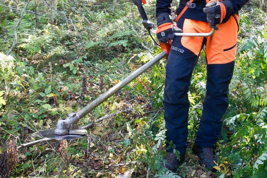 2000 gröna jobb tror Naturvårdsverket på att det går att skapa runt om i landet.