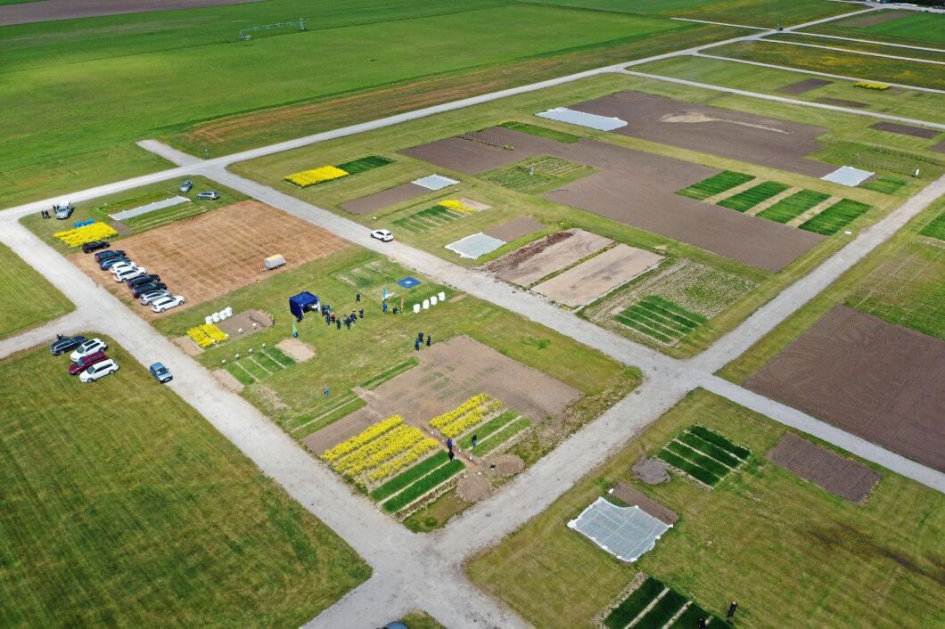 Borgeby fältdagar är inställt, och det är glest på utställningsfältet.