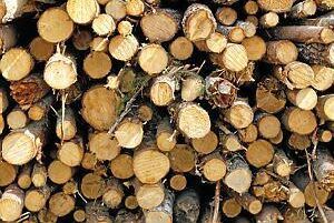 Han tar över Ikea Industry Glommersträsk