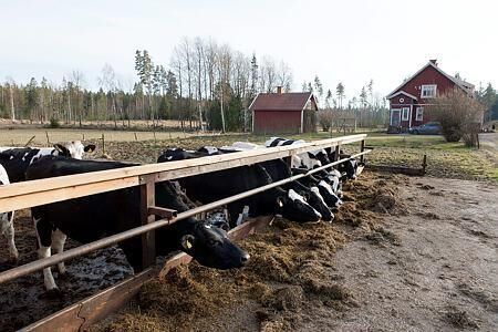 Den ekologiska livsmedelsmarknaden växer även om tillväxttakten avtar.