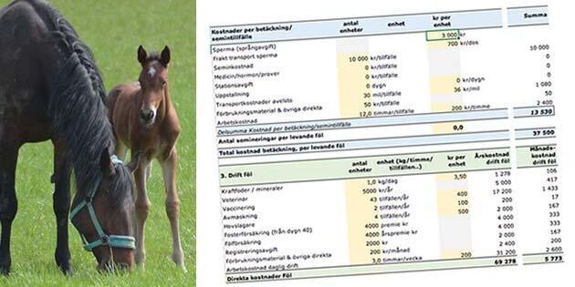 Så här kan det se ut i kalkylen när man beräknat och fyllt i siffrorna.