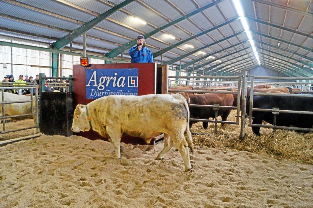 Bäst betald av de närvarande blev 7674 Napoleon av Vita Fall.