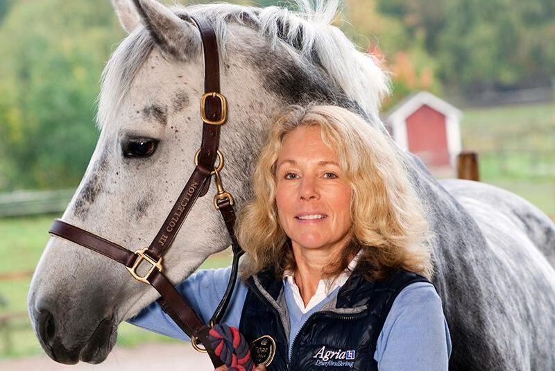 Enligt Pernilla Melander vid Agria Djurförsäkring har det registrerats 19 procent fler nya hästförsäkringar i år jämfört med året innan.