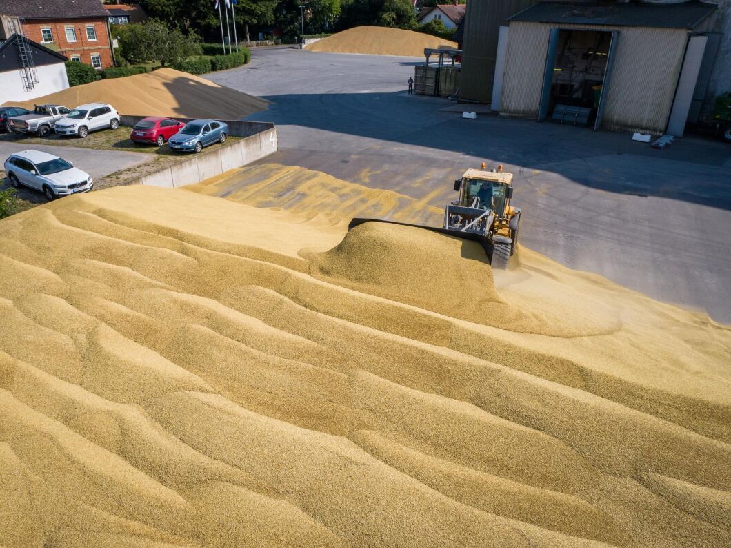 Det fina vädret innebär att det går bra att mellanlagra på plattor runt anläggningen, vilket gör att lämningen flutit på extra bra.