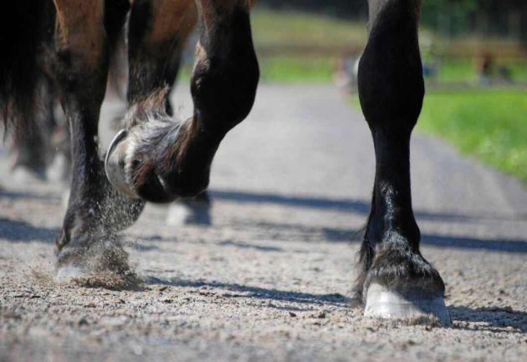 Efter olyckan stoppades tågtrafiken under cirka 1,5 timmar. Arkivbild.