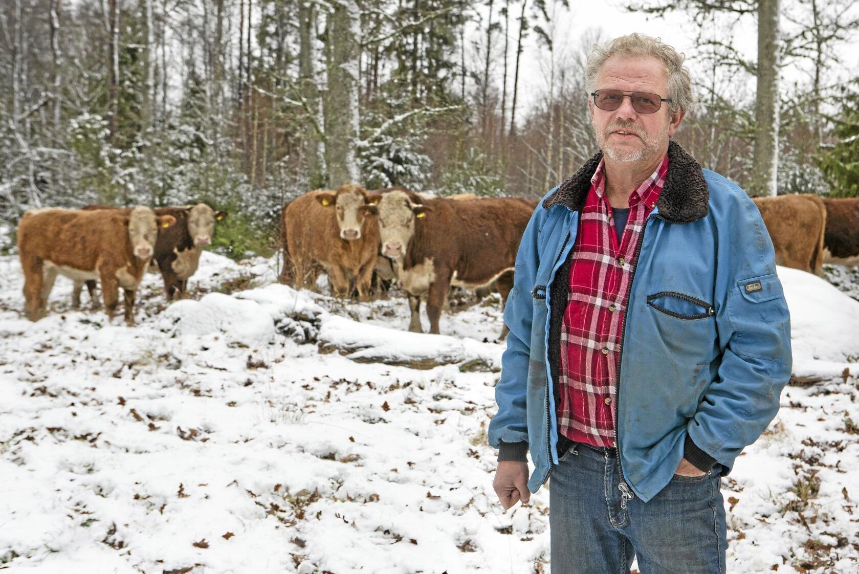 Lars-Erik Johnsson är verksamhetsledare och sköter allt arbete åt föreningen vid skrivbordet. Han är själv bonde och har ett 50-tal herefordkor.