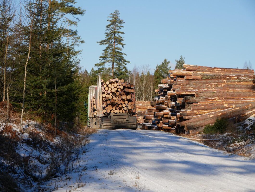 Södra sänker priserna de betalar för gran- och talltimmer från och med fredagen.