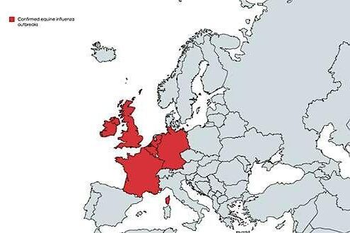 Kartan visar de länder man konstaterat fall av hästinfluensa kopplat till det pågående utbrottet.
