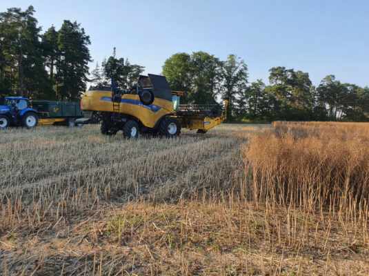 Skördetröska på fält.