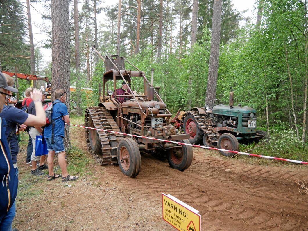 Skogens veteraner lockade många.