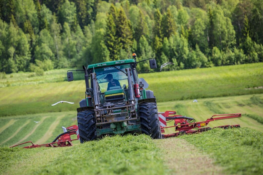 För att öka möjligheterna till en tredje vallskörd kan lantbrukare i Laholm få möjlighet att ansöka om dispens för att gödsla till och med den 31 december.