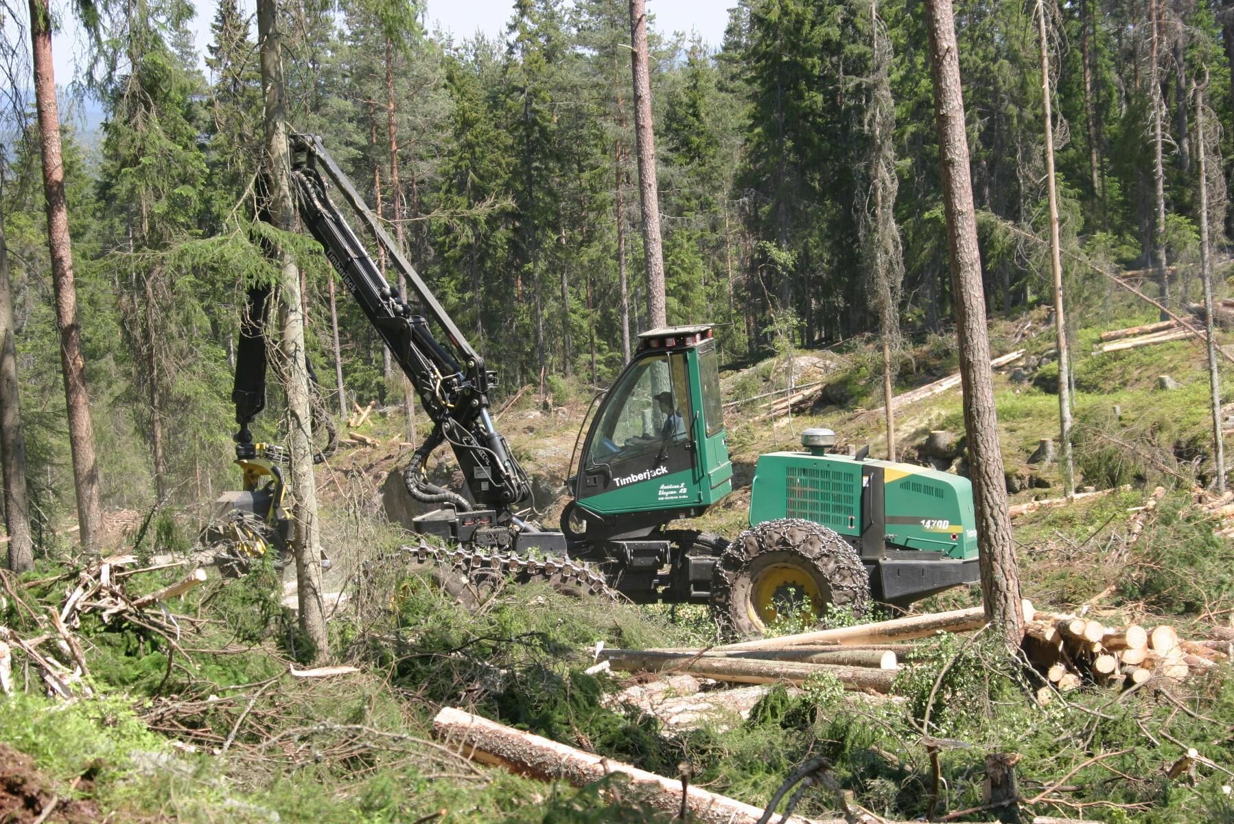 Skördaren Timberjack 1470D i slutavverkning i Värmland. Maskinen går med band på boggin året runt.