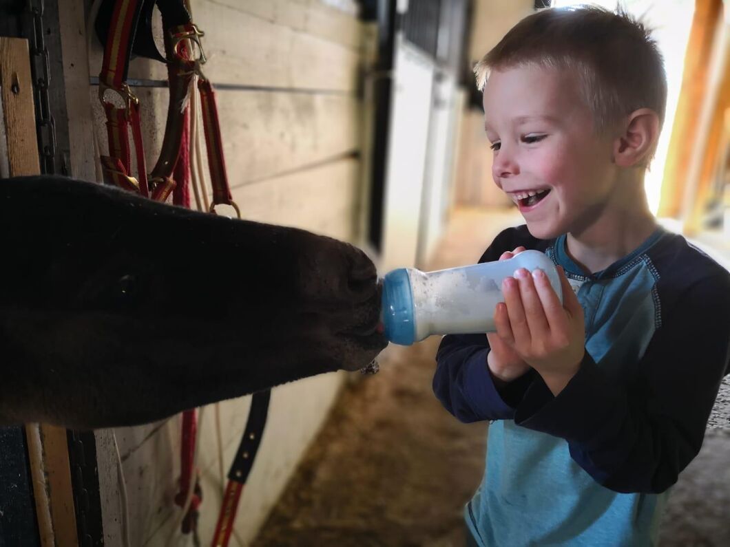 Felezia de Brezo "Flisan" fick en tuff start, med en mamma som försökte döda henne. Först två veckor gammal fick hon en amma. Foto: Maria Ljung.