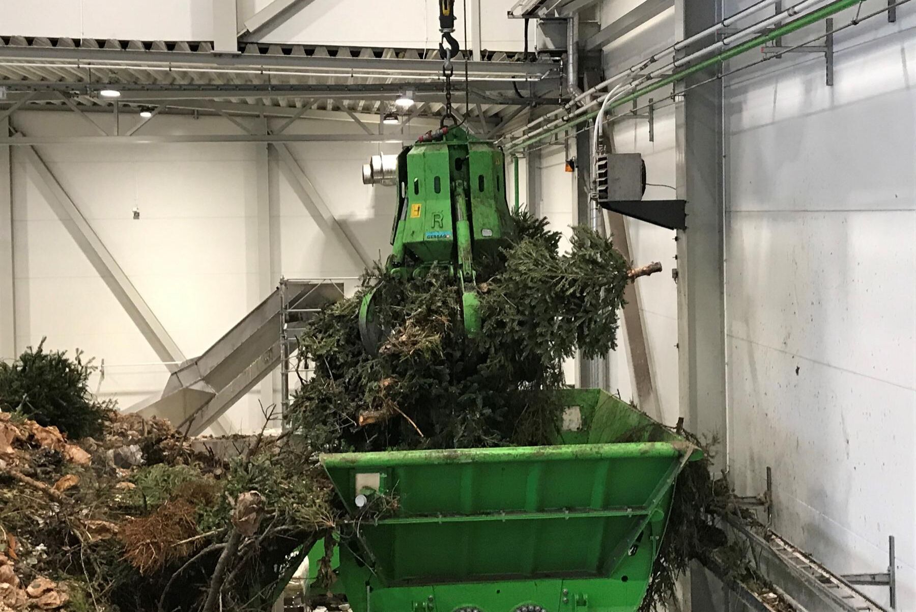 I Jönköping rötas julgranar tillsammans med matavfall till fordonsgas.